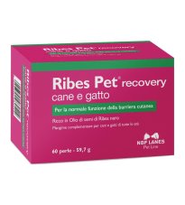 RIBES PET RECOVERY 60PRL