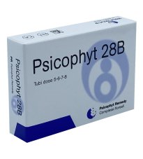 PSICOPHYT REMEDY 28B 4TUB 1,2G