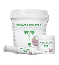 SMIGOL POLVERE 1KG