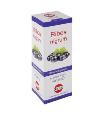 RIBES NIGRUM MG 100ML GTT