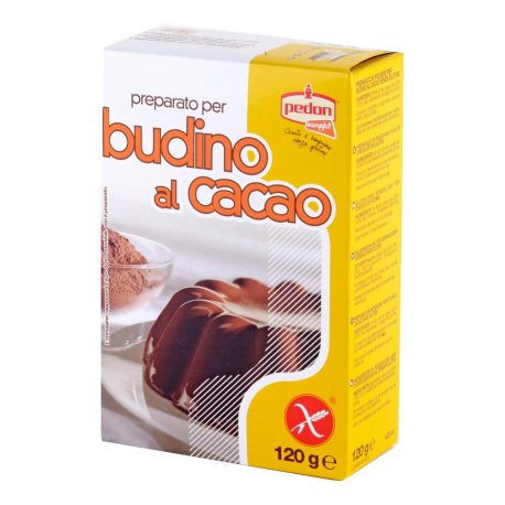 EASYGLUT PREPA BUDINO CACAO120