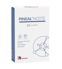 PINEAL NOTTE 24CPR