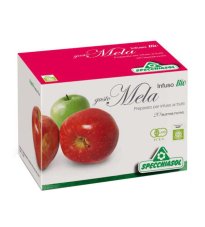 INFUSO BIO FRUTTA MELA 20FILT