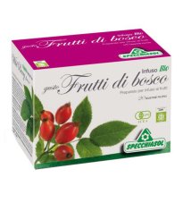 INFUSO BIO FRUTTA BOSCO 20FILT