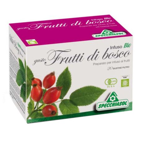 INFUSO BIO FRUTTA BOSCO 20FILT