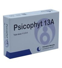 PSICOPHYT REMEDY 13A 4TUB 1,2G