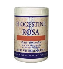 FLOGESTINE ROSA PASTA 1KG