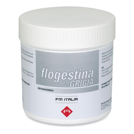 FLOGESTINA GRIGIA PASTA 1KG