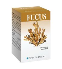 FUCUS ERBE 150TAV