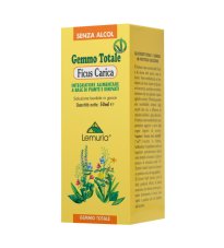 FICUS CARICA GEMME GTT 50ML MG