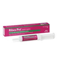 RIBES PET PASTA 30G