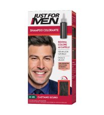 JUST FOR MEN SH COLOR H45 CAST