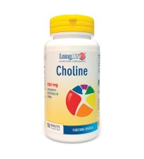 LONGLIFE CHOLINE 100TAV