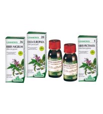 GEMMOSOL 4 ONTANO 50ML