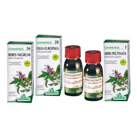 GEMMOSOL 37 ROSA CANINA 50ML