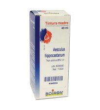 AESCULUS HIPPOCAST 60ML TM