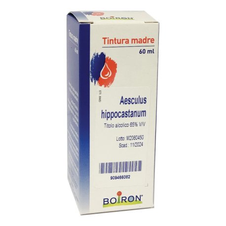 AESCULUS HIPPOCAST 60ML TM