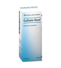 GALIUM 30ML GTT HEEL