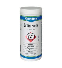 BIOTIN FORTE POLV 200G