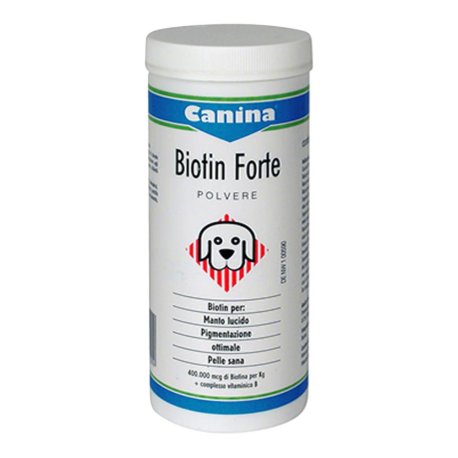 BIOTIN FORTE POLV 200G