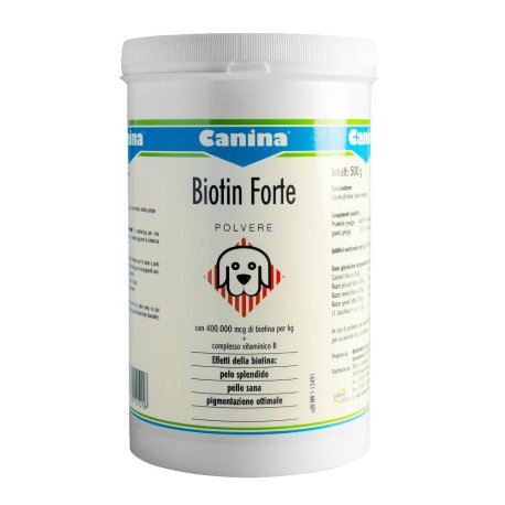 BIOTIN FORTE POLV 500G