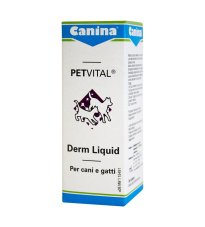 DERM LIQUID 25ML