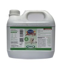 OLIO VIVO CAVALLI 3L