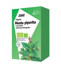 MENTA PIPERITA TIS 15FLT BIO