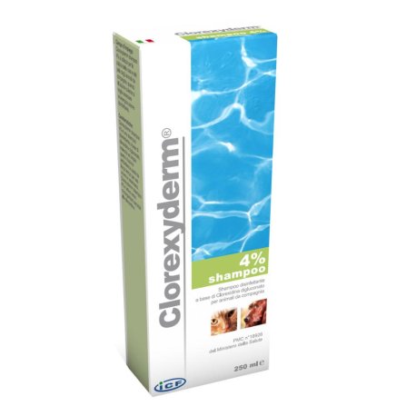 CLOREXYDERM SH 4% 250ML