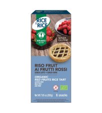 R&R RISO FRUIT FRU ROSSI 6X33G