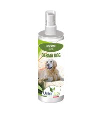 DERMA DOG LOZ RIGEN CUTE 125ML