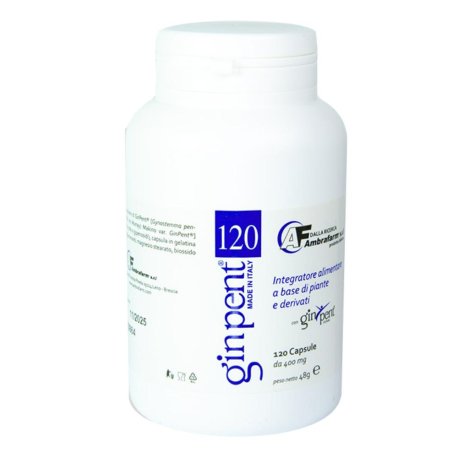 GINPENT 120CPS 400MG