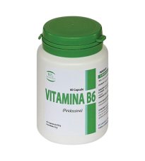 VITAMINA B6 60CPS