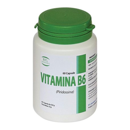 VITAMINA B6 60CPS