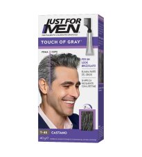 JUST FOR MEN TOUCH OF GRAY CAS