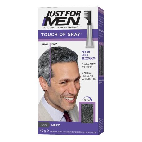 JUST FOR MEN TOUCH OF GRAY NE