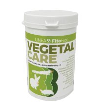 VEGETAL CARE POLVERE 150G