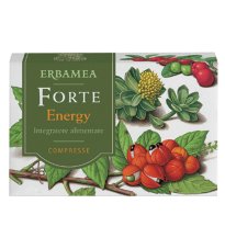 FORTE ENERGY 24CPR