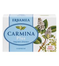 CARMINA PLUS 24CPR 19,2G