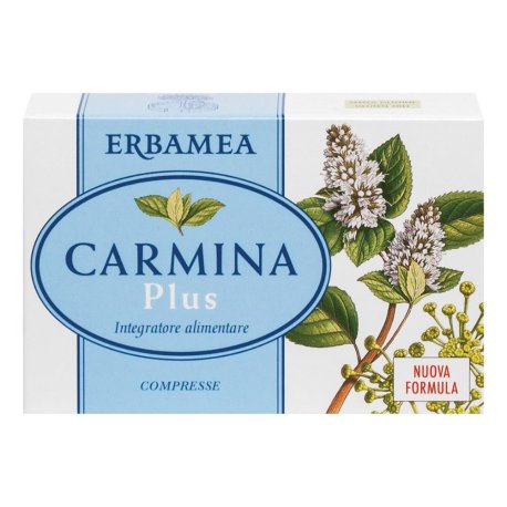 CARMINA PLUS 24CPR 19,2G