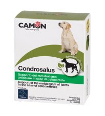 CONDROSALUS ORME NAT 60CPR