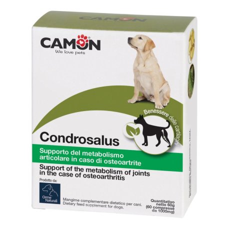 CONDROSALUS ORME NAT 60CPR