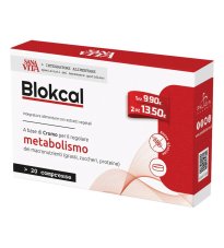 SANAVITA BLOKCAL 20CPR