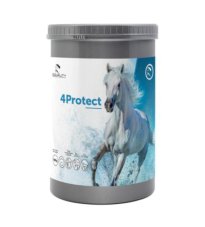 4PROTECT BARATTOLO 900G