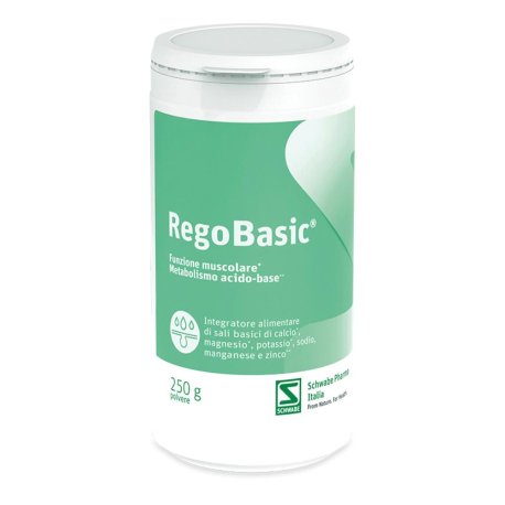 REGOBASIC POLVERE 250G