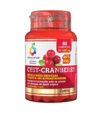 CYST-CRANBERRY 60CPR COLOURS