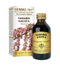 TAMERICE 100ML ANALCO GEMMO10+