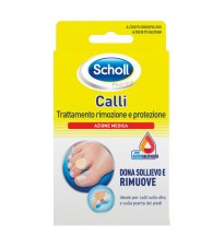 SCHOLL CER CALLIF TRATT R/PROT