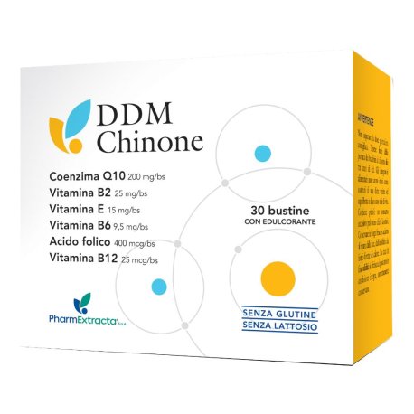 DDM CHINONE 30BUSTINE