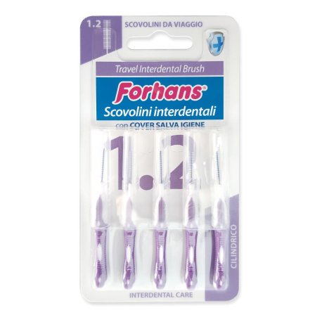 FORHANS TRAVEL INTERD BRUSH1,2